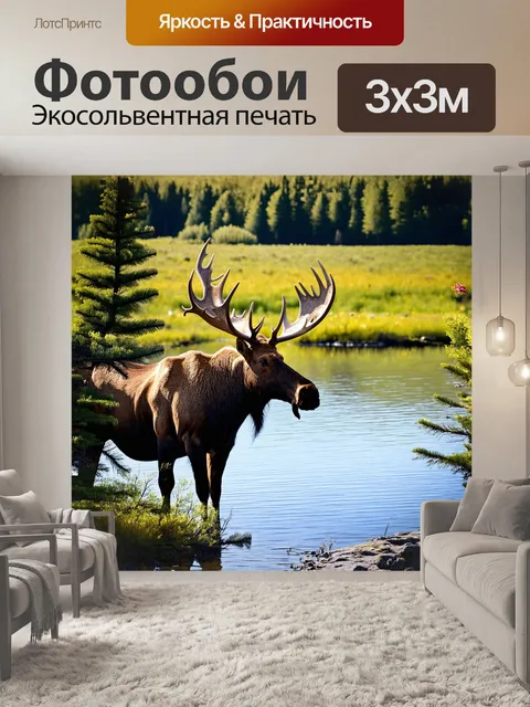 Фотообои лось с мощными рогами стоит на берегу прозрачного озера, отражая свет заката