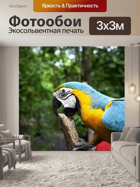 Фотообои Попугай