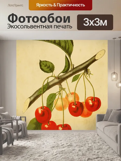 Фотообои Вишневый фрукт винтажное искусство