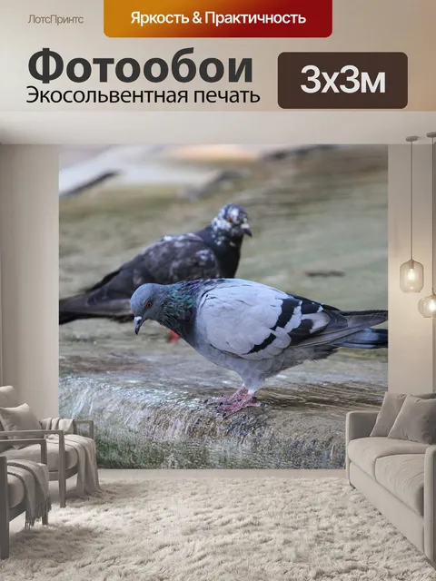 Фотообои Птицы