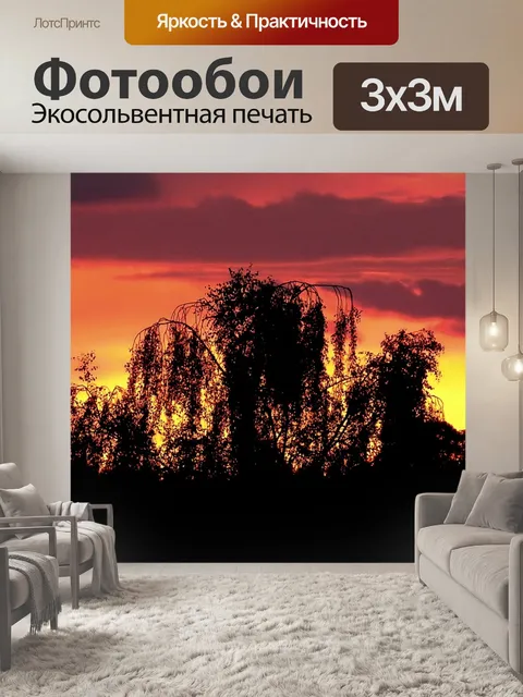 Фотообои Деревья