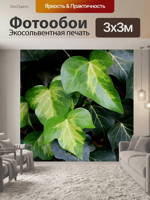 Фотообои листья плюща