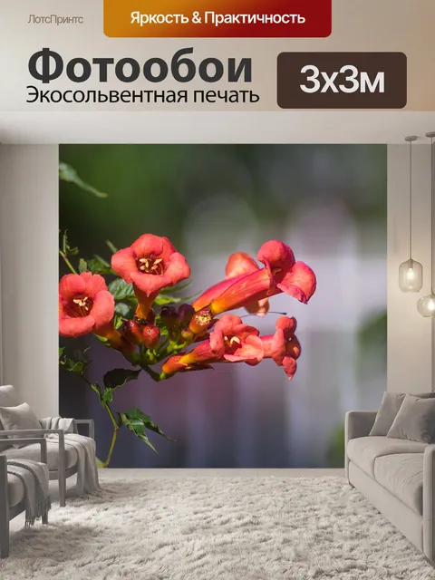 Фотообои Природа