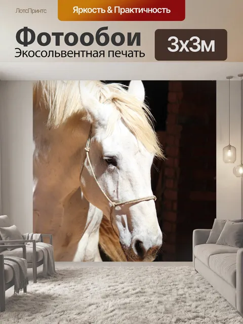 Фотообои Лошадь
