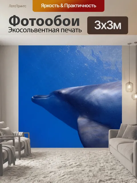 Фотообои Море