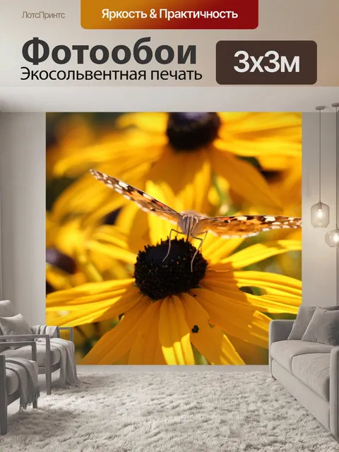 Фотообои Чертополох бабочка