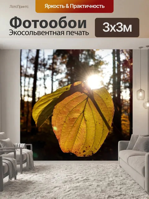 Фотообои Лес