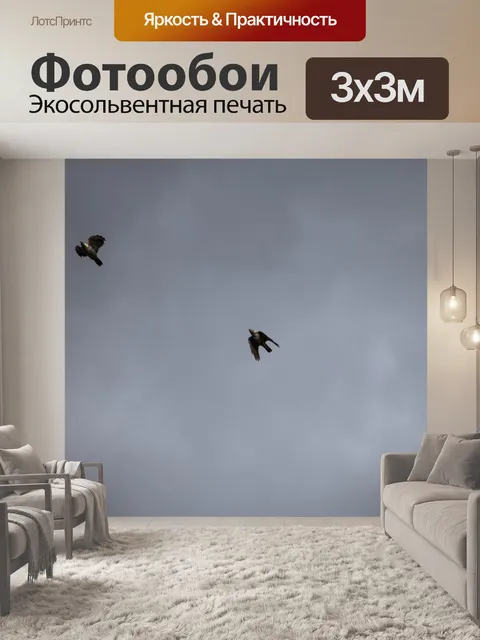 Фотообои Птицы