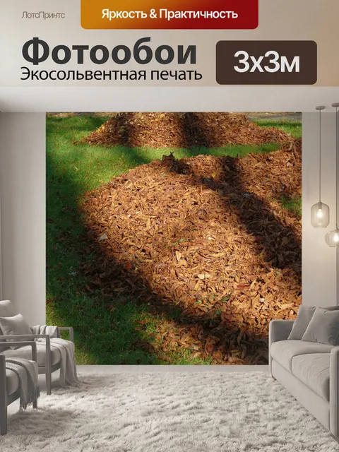 Фотообои Листья