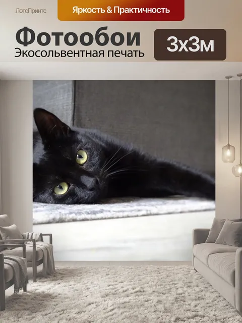 Фотообои Кошка