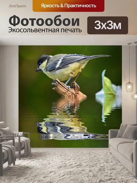 Фотообои Большая синица