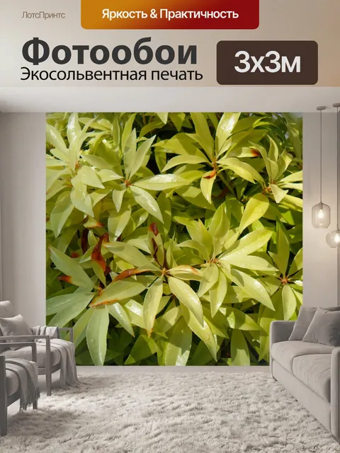 Фотообои Зеленые листья