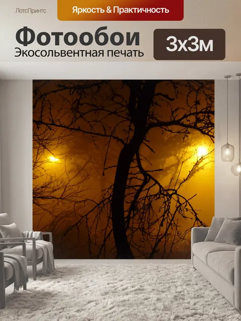 Фотообои Туман