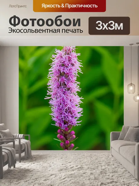 Фотообои Пылающие звездные цветы