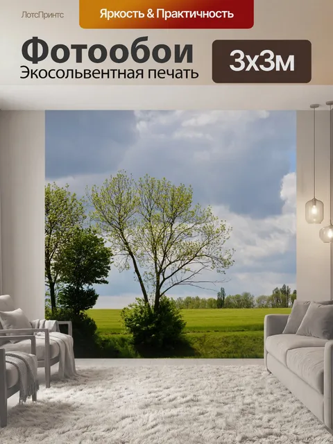 Фотообои Деревья