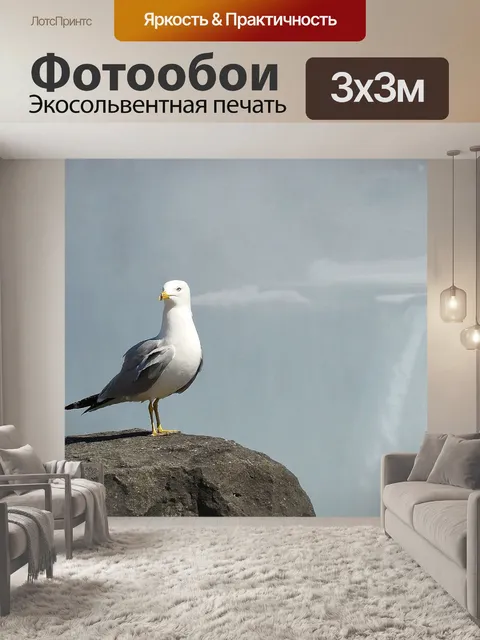 Фотообои Чайка