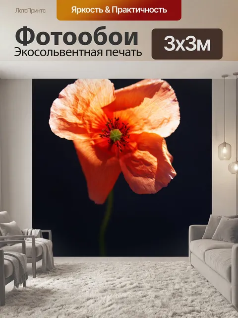 Фотообои Мельница мака