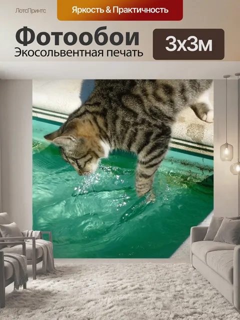 Фотообои Кошка рыбалка в бассейне