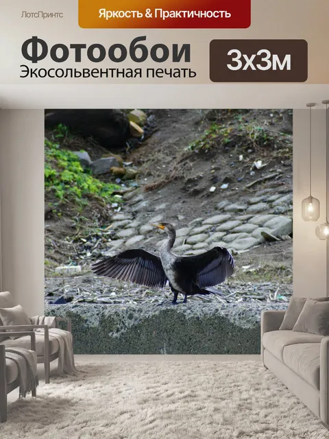 Фотообои Животное