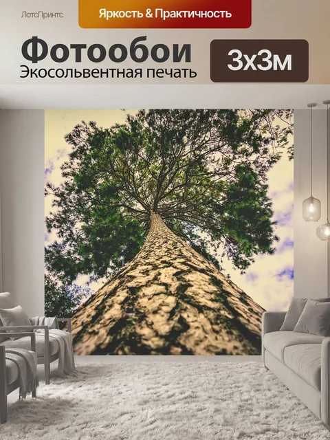 Фотообои Дерево