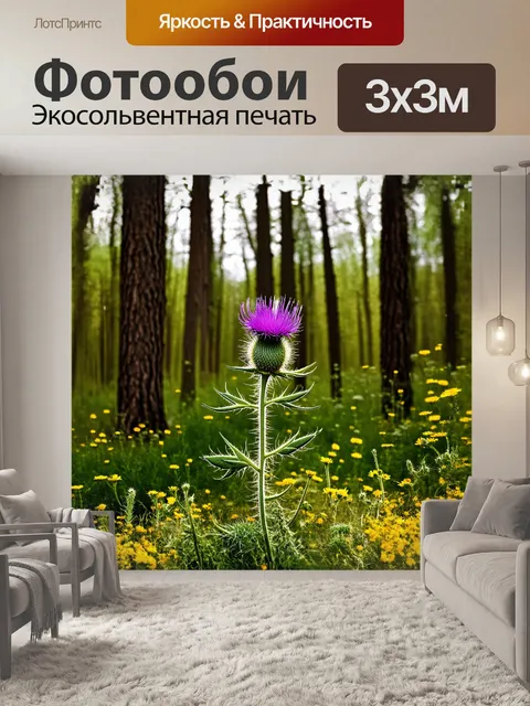 Фотообои в густом лесу под сенью высоких деревьев, чертополох раскинулся по полянке