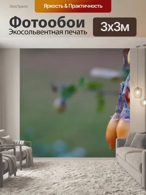 Фотообои Осень