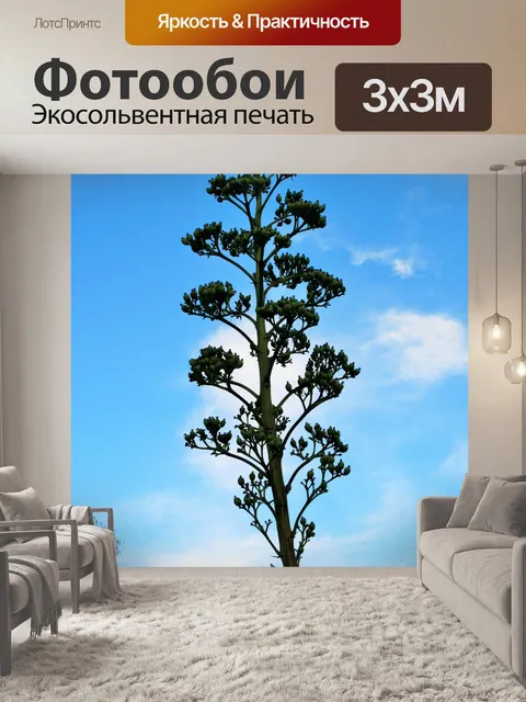 Фотообои агавы sisalana