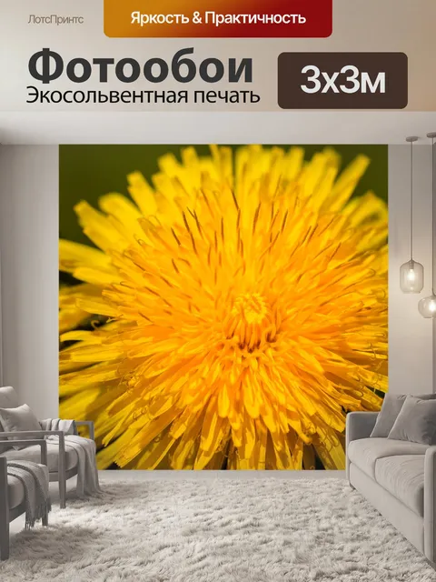 Фотообои Одуванчик