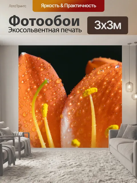 Фотообои Джентльмен