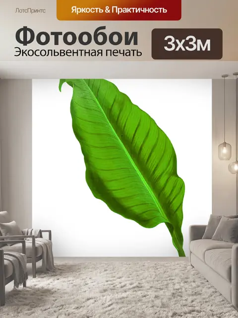 Фотообои Листва лист растение прозрачный