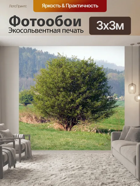 Фотообои Куст