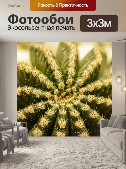 Фотообои Кактус пустынное растение