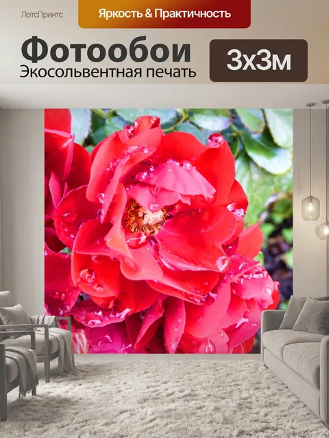 Фотообои красные цветы