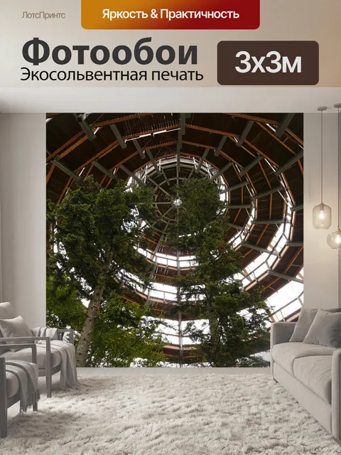 Фотообои Тропинка на верхушках деревьев