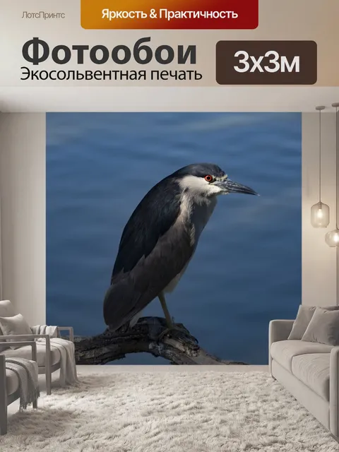 Фотообои Ночная цапля