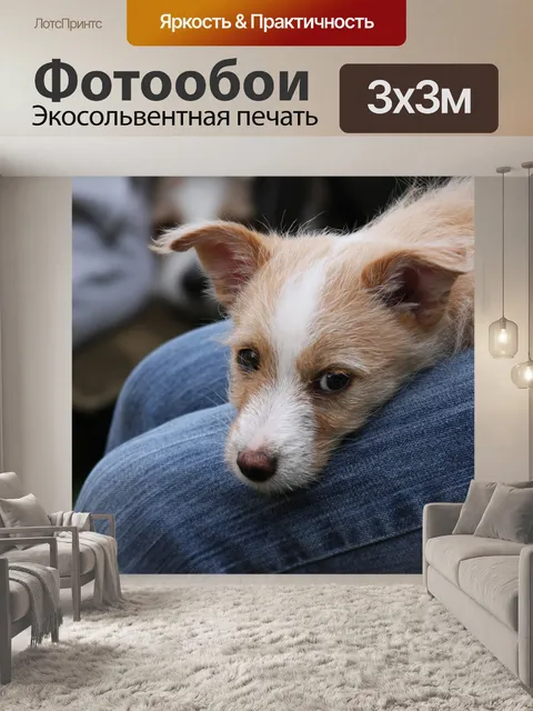 Фотообои Природа