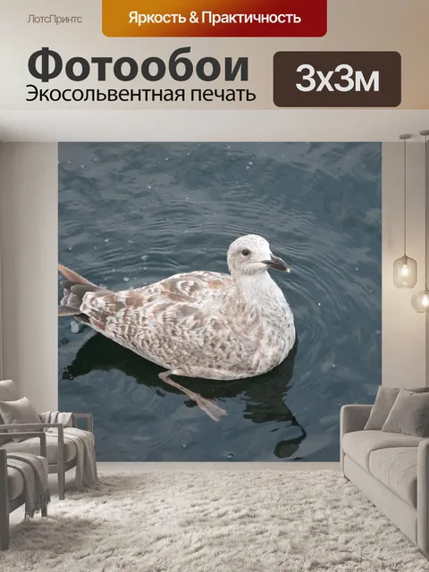Фотообои Чайка
