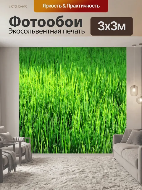 Фотообои Зеленое рисовое поле
