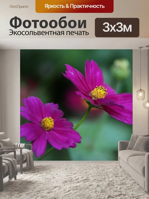 Фотообои Цветы космоса
