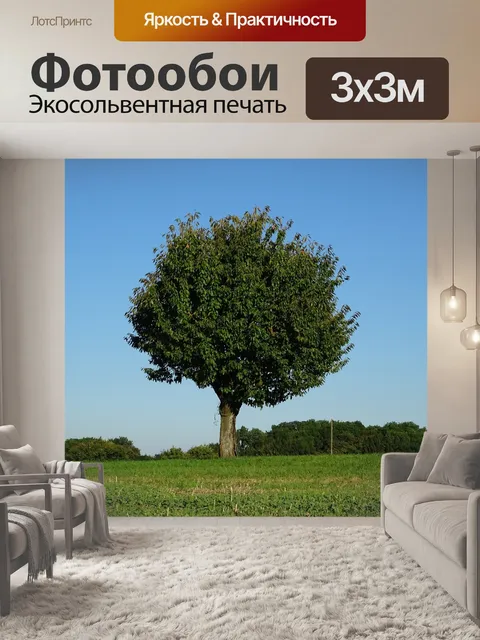 Фотообои Дерево