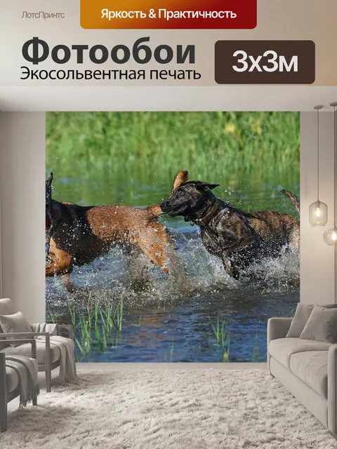 Фотообои Собаки