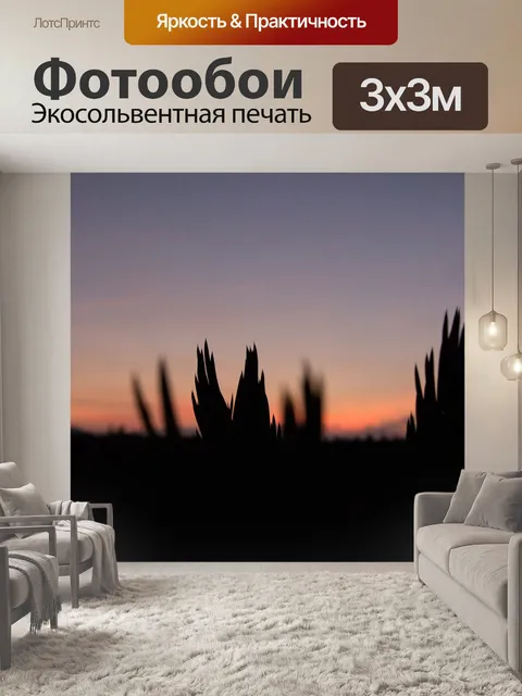 Фотообои Заход солнца