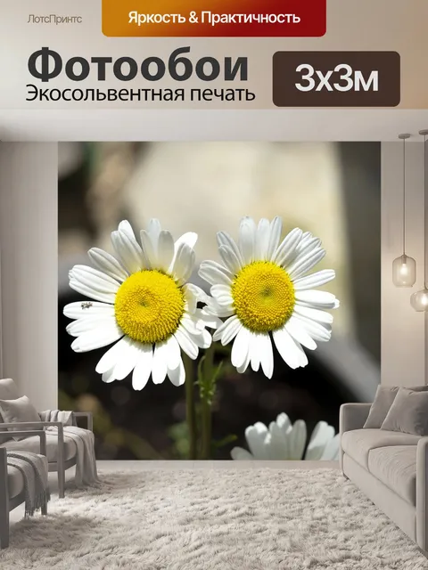 Фотообои Цветы