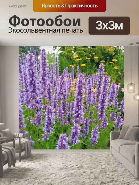 Фотообои Великолепные цветы цветы фото