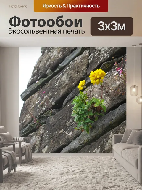 Фотообои Цветок