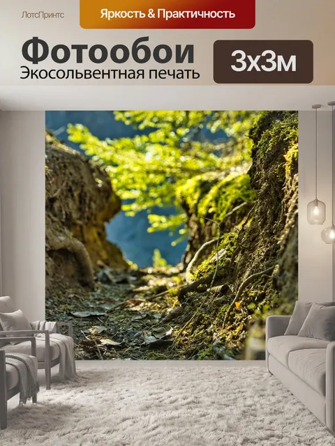 Фотообои Лес