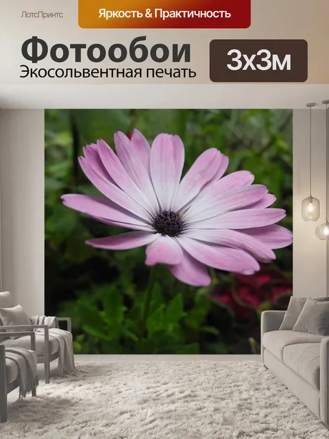 Фотообои Розовый цветок