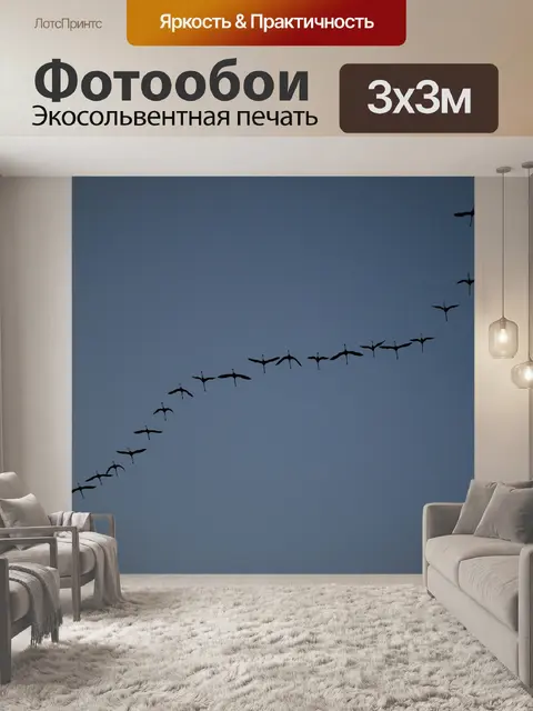 Фотообои Птицы