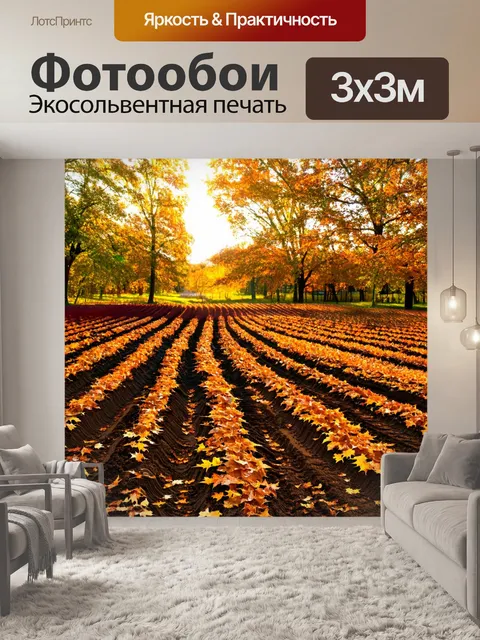 Фотообои утро, где размокшее поле с осенними листьями чутко реагирует на теплые лучи солнца