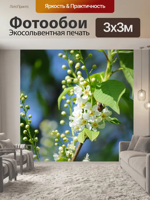 Фотообои Весна